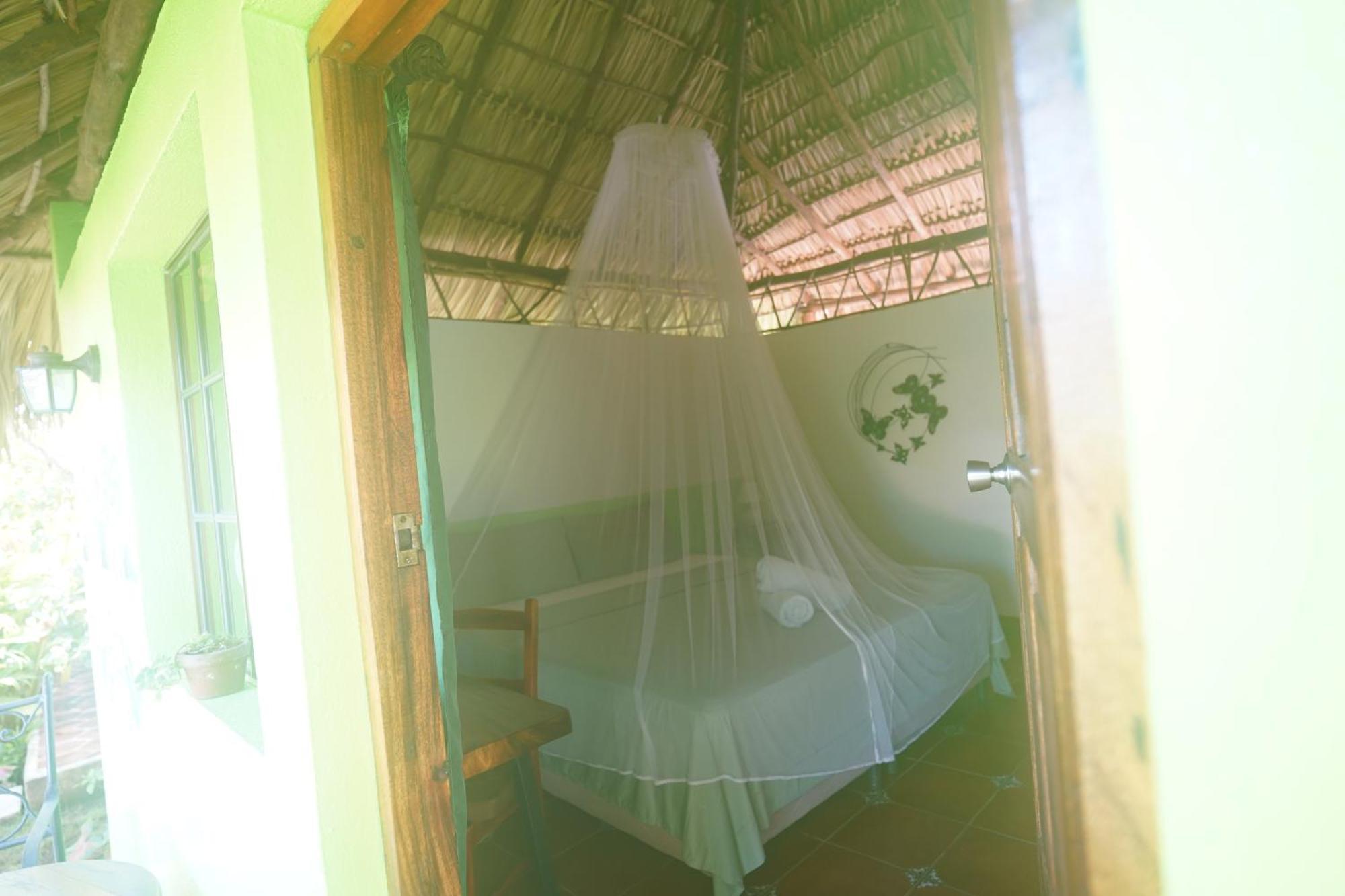 Hotel Mariposa León Екстериор снимка