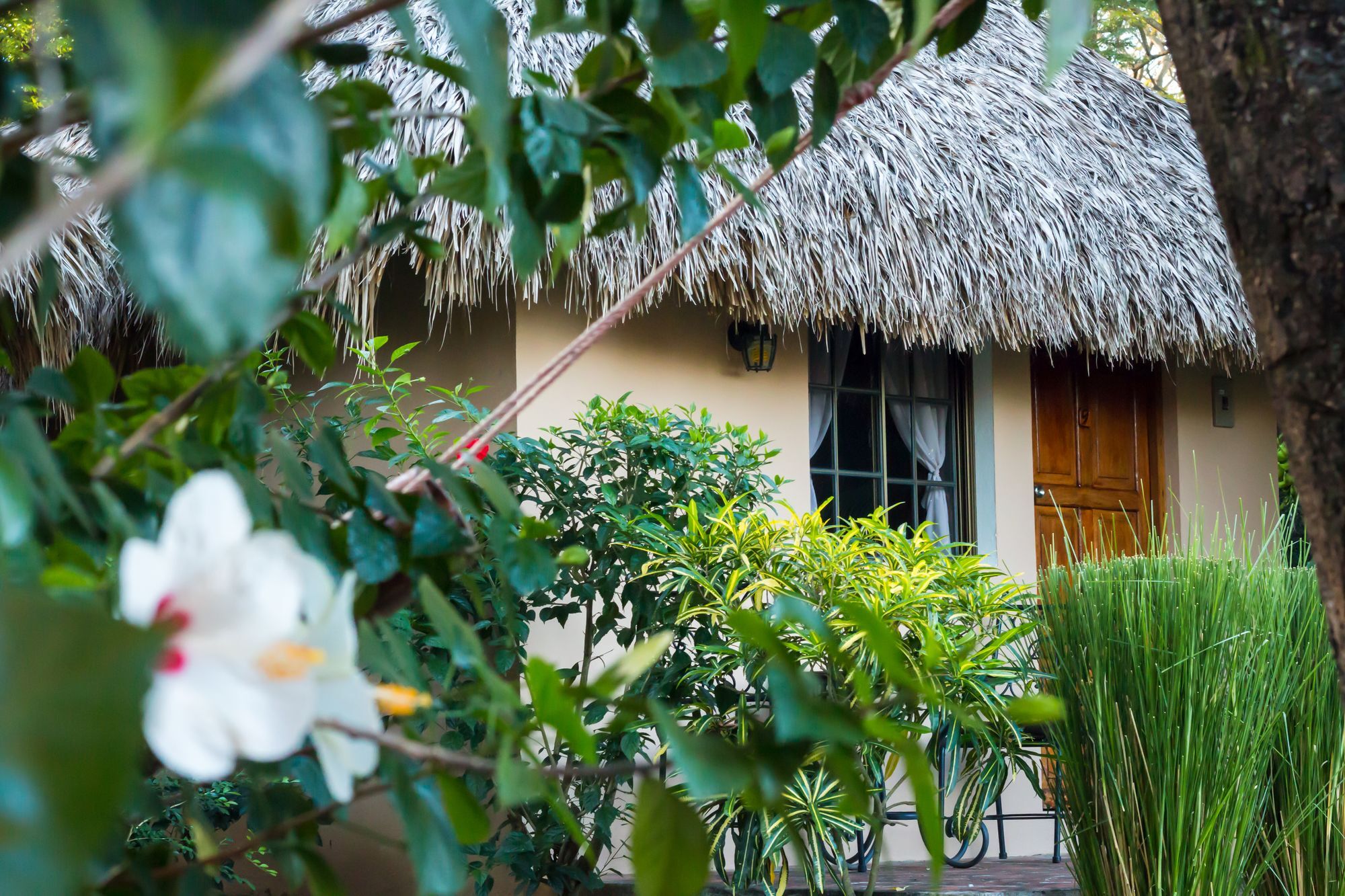 Hotel Mariposa León Екстериор снимка
